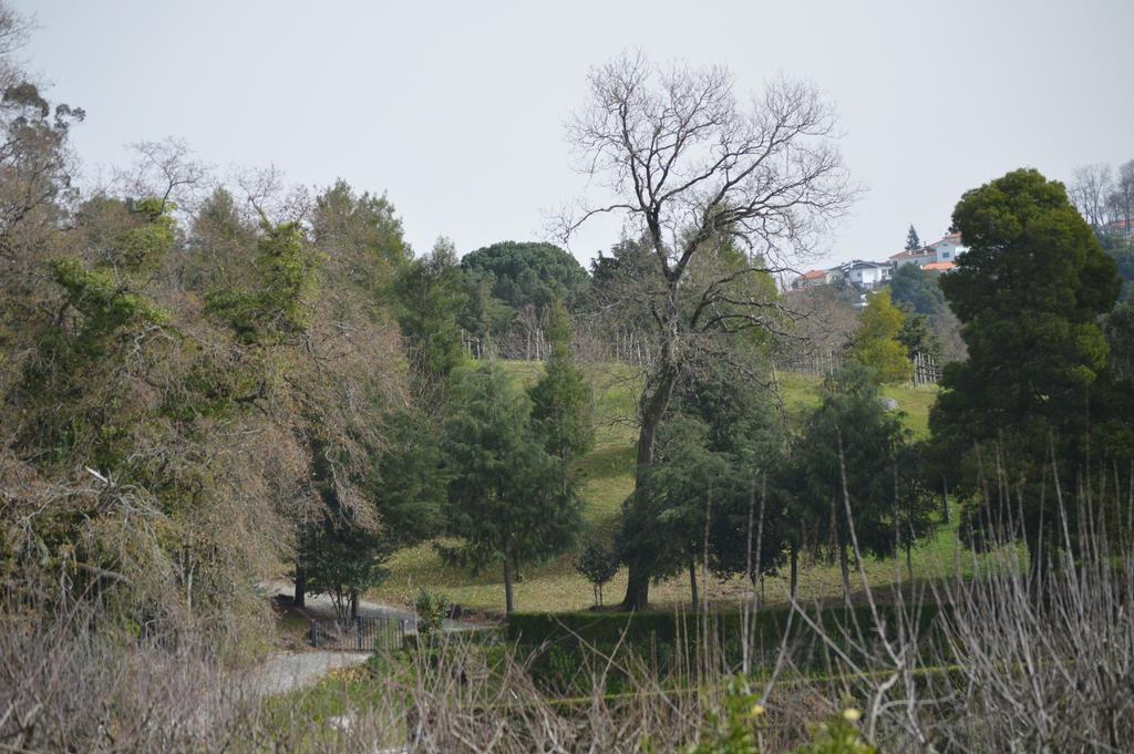 نزل Vila Nova de Famalicãoفي Casa Da Encosta - Quinta Da Costa المظهر الخارجي الصورة